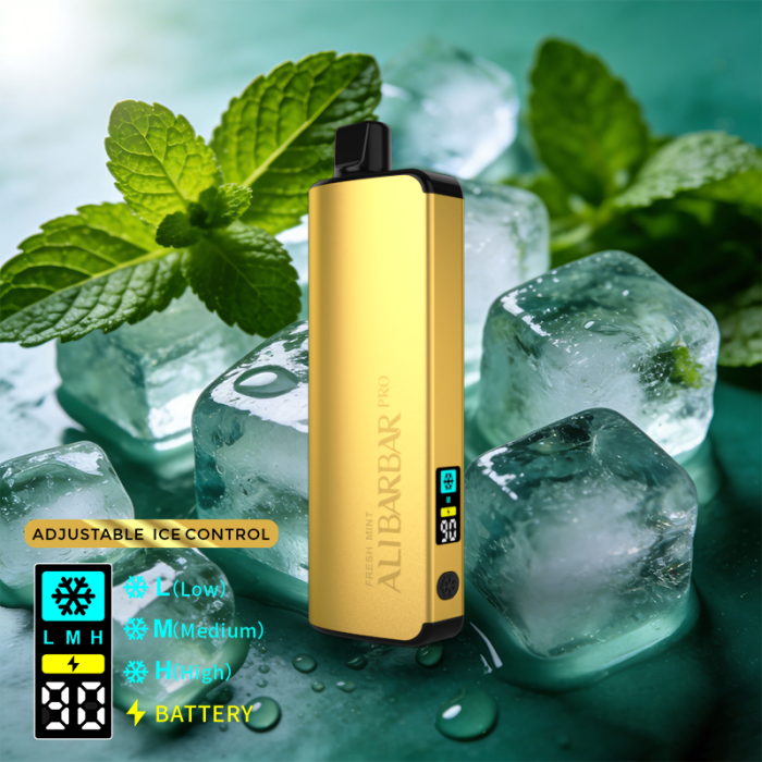 ALIBARBAR PRO 12000 Ice Adjust – Fresh Mint